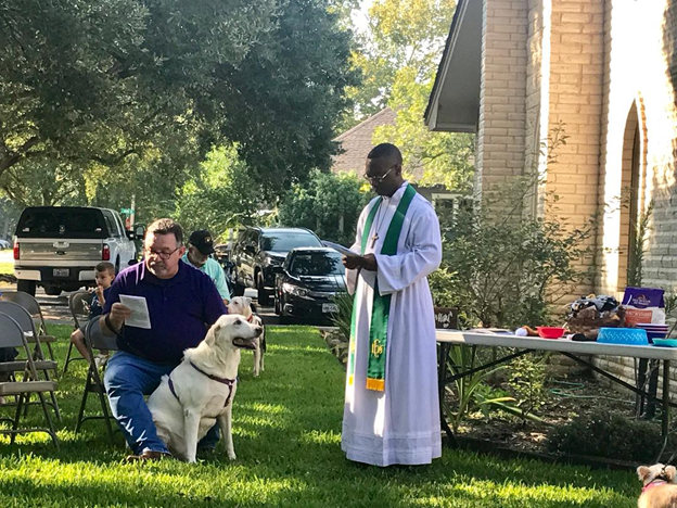 Blessing of the pets